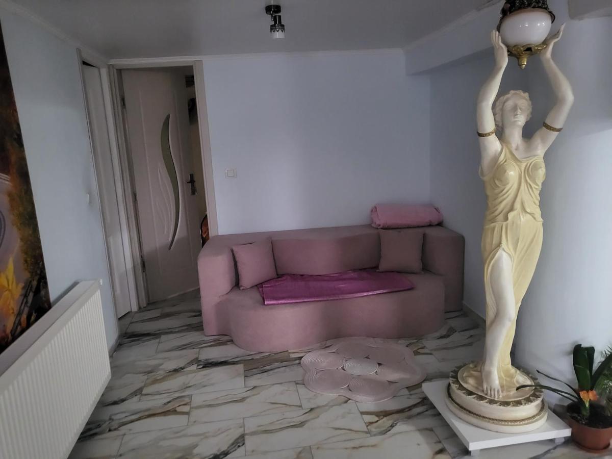 Apartament Cu Terasa Si Gratar Apartment Satu Mare Exterior foto